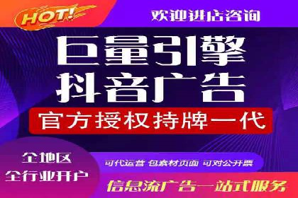 SEM广告的精准定向技巧与成功案例解析